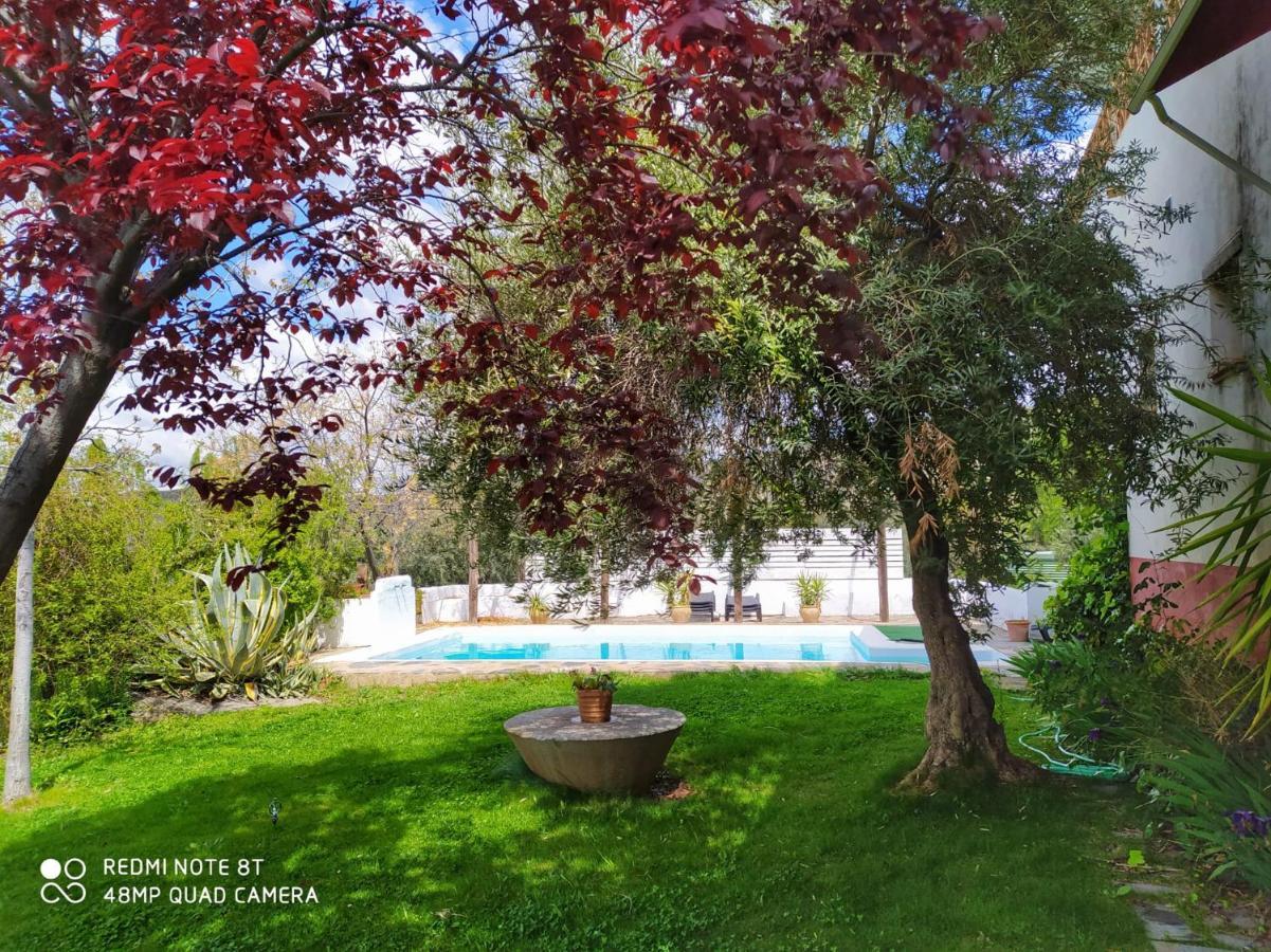 פינוס חניל Hotel Finca Aldabra מראה חיצוני תמונה